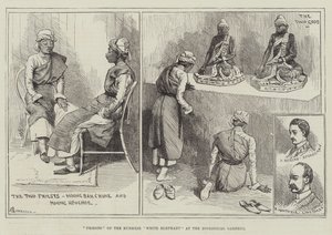 Burman valkoisen norsun papit eläintarhassa